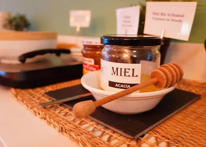 Metz Est Technopole Pole Sante Hotel 2*