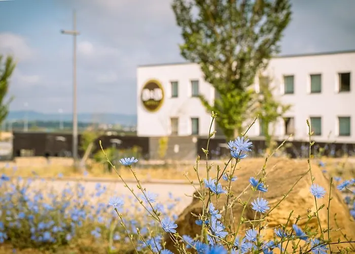 Metz Est Technopole Pole Sante